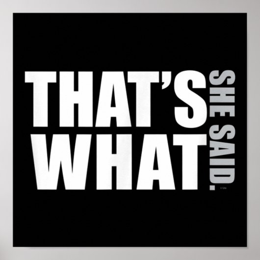 De Kantoor die ze zei DunderMifflinzz Poster (Voorkant)