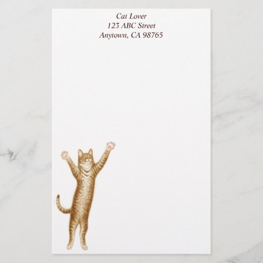 De  kantoorbenodigdheden van het superKat Briefpapier (Voorkant)