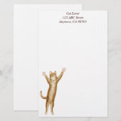 De  kantoorbenodigdheden van het superKat Briefpapier (Voorkant / Achterkant)