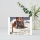 De kardinaal briefkaart (Staand voorkant)