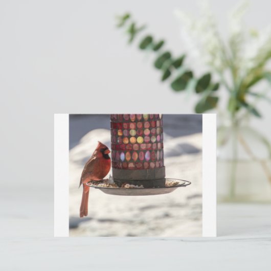 De kardinaal briefkaart (Staand voorkant)