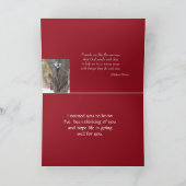 De kardinaal in As boom-past om het even welke Kaart (Binnen)