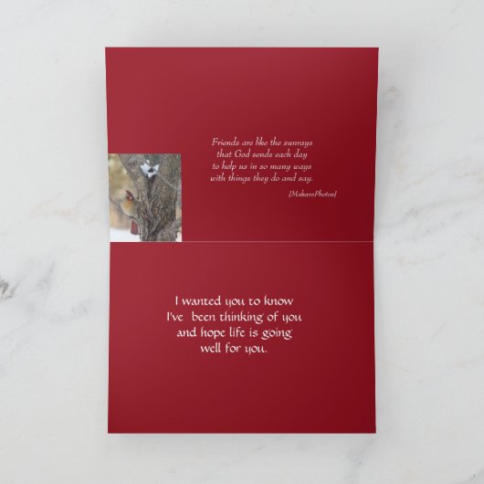 De kardinaal in As boom-past om het even welke Kaart (Binnen)