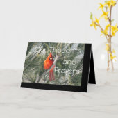 De kardinaal op de Boom van de Pijnboom past om Kaart (Gele Bloem)