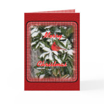 De kardinaal op SneeuwMagnolia past aan