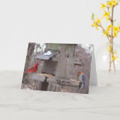 De Kardinaal van Woodpecker&Male Kaart (Gele Bloem)