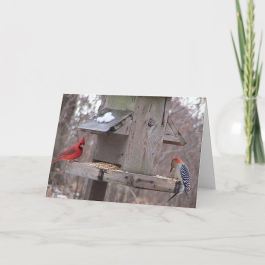 De Kardinaal van Woodpecker&Male Kaart (Voorkant)