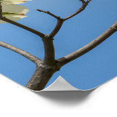 De kardinale hofmakerij: Dogwood Dreamscape Poster (Hoek)