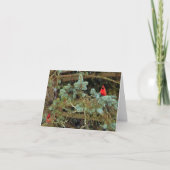 De kardinalen nemen nota van Kaarten (Voorkant)