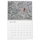 DE KART VAN JACK MCKENZIE 2019 CALENDAR KALENDER (Jan 2027)