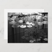 De kas: Shinjuku Gyoen, Tokio Briefkaart (Voorkant / Achterkant)