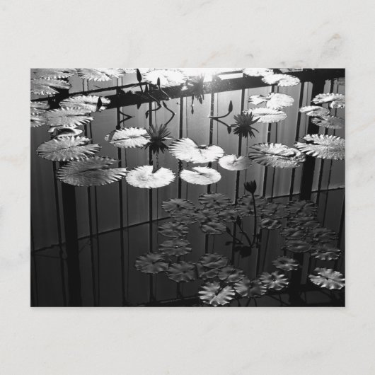 De kas: Shinjuku Gyoen, Tokio Briefkaart (Voorkant)