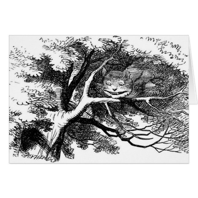 De kastanjekat (Voorkant Horizontaal)