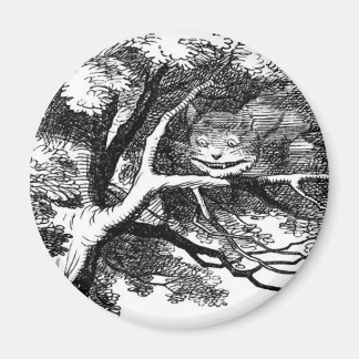 De kastanjekat magneet