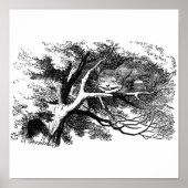 De kastanjekat poster (Voorkant)