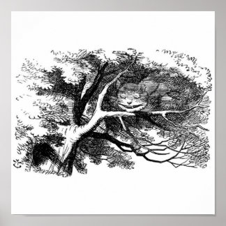 De kastanjekat poster