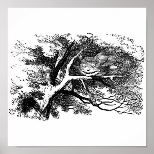 De kastanjekat poster (Voorkant)