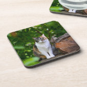 De kat bier onderzetter (Linkerzijde)