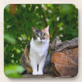 De kat bier onderzetter