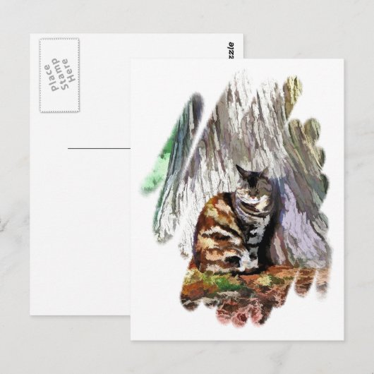 DE KAT BRIEFKAART (Voorkant / Achterkant)