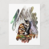 DE KAT BRIEFKAART (Voorkant)