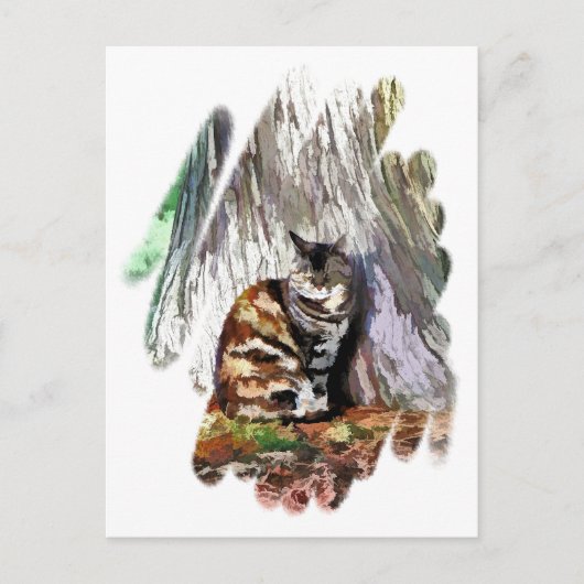 DE KAT BRIEFKAART (Voorkant)