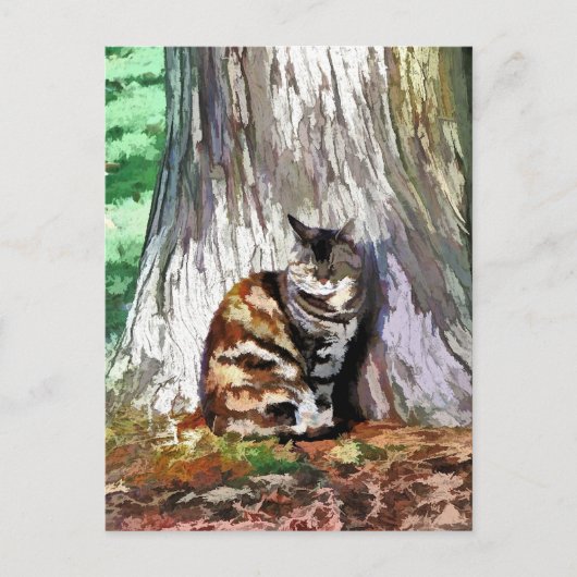 DE KAT BRIEFKAART (Voorkant)