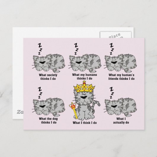 De kat briefkaart (Voorkant / Achterkant)