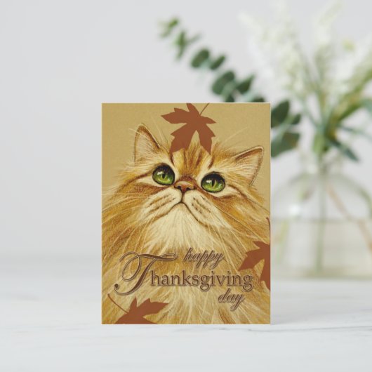 De Kat & de Bladeren van de gember - Briefkaart (Staand voorkant)