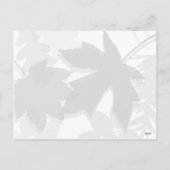 De Kat & de Bladeren van de gember - Briefkaart (Achterkant)