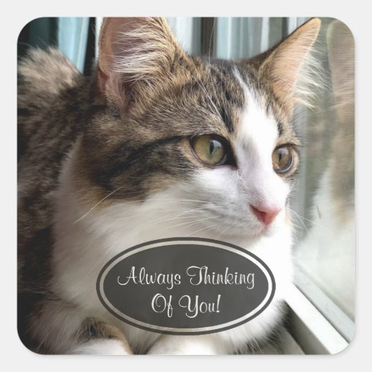 De kat denkt aan je Stickers (Voorkant)