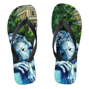 De kat die de kanarie opat teenslippers