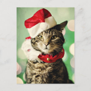 De kat die van de gestreepte kat een een pet en feestdagenkaart