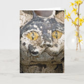 De Kat die van Kathe u bekijken Kaart (Gele Bloem)