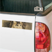 De kat (door Gwen John) Bumpersticker (Op Truck)