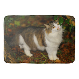 De kat en de Camellia Badmat