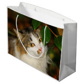 De kat en de Camellia Large Cadeautasje (Achterkant Gekanteld)