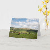 De kat en de kat in Briefkaart (Gele Bloem)