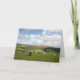 De kat en de kat in Briefkaart