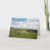 De kat en de kat in Briefkaart (Voorkant)