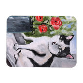 De kat en de papavers magneet (Horizontaal)