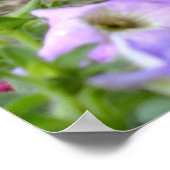 De kat en de petunia blazen poster (Hoek)