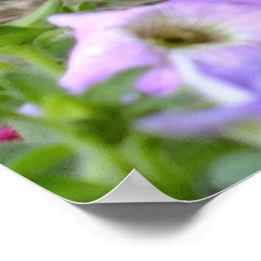 De kat en de petunia blazen poster (Hoek)