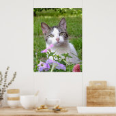 De kat en de petunia blazen poster (Keuken)