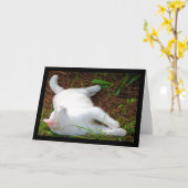 De kat en de vlieg kaart (Gele Bloem)