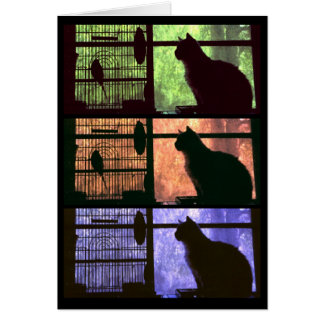 De kat en de vogelkaart