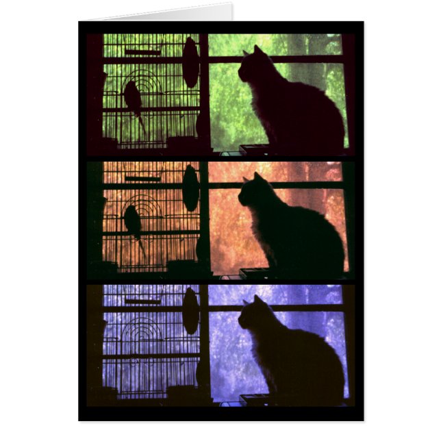De kat en de vogelkaart (Voorkant)