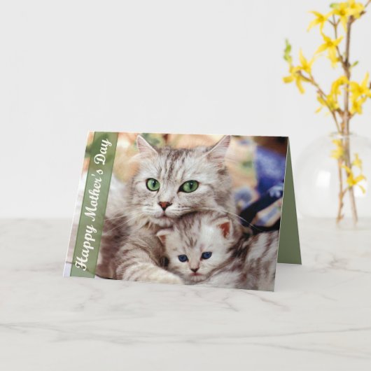 De Kat en het Katje van het moederdag Kaart (Gele Bloem)