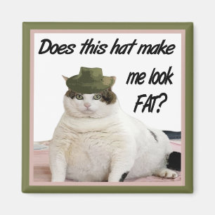 De kat en het Pet Magnet