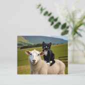 De kat en het schaap - Felini's Country Ride Briefkaart (Staand voorkant)